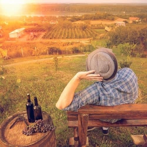 a man sitting on a bench with a bottle of wine images by DPwalay