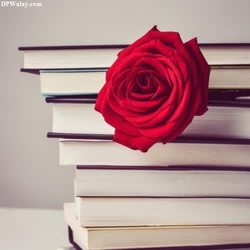 a red rose sitting on top of a stack of books