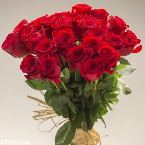 a bouquet of red roses in a vase-Clh2 images by DPwalay