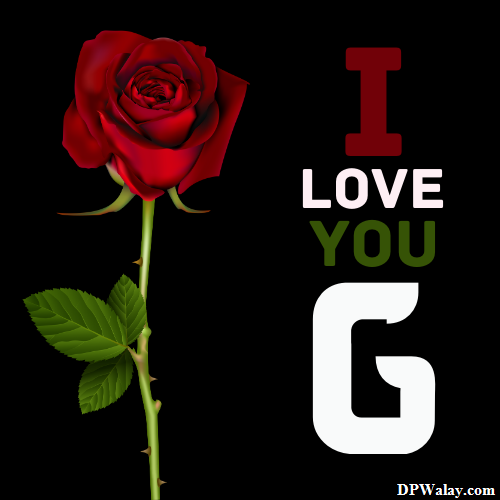 a red rose with the words i love you g
