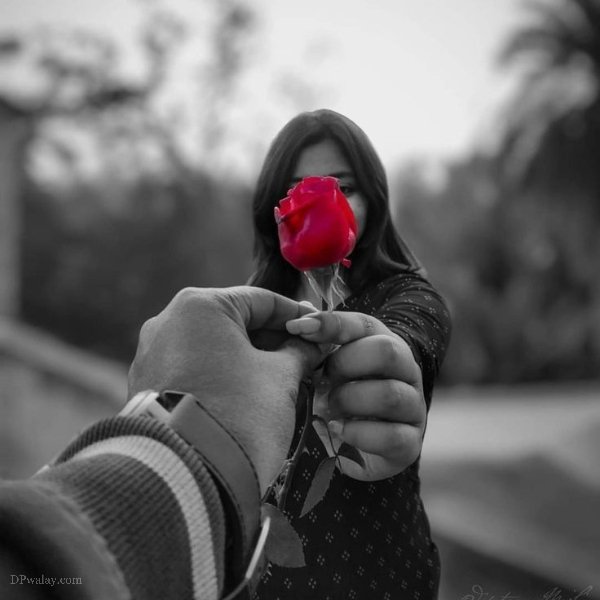 DP Pic : A Man Giving a Flower to Girl Love DP Best 2024